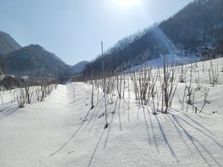 남효제님의 자유주제 · 자유게시판 작성글 사진
