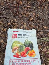 팜모닝 · 게시글 이미지