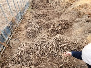 이창신님의 자유주제 · 자유게시판 작성글 사진