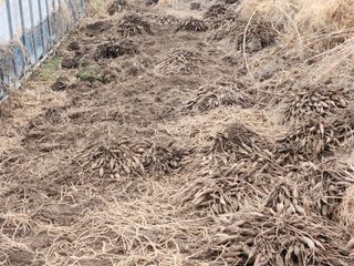 이창신님의 자유주제 · 자유게시판 작성글 사진