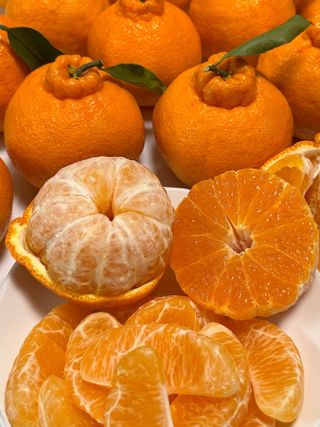 농부손녀님의 작성글 사진