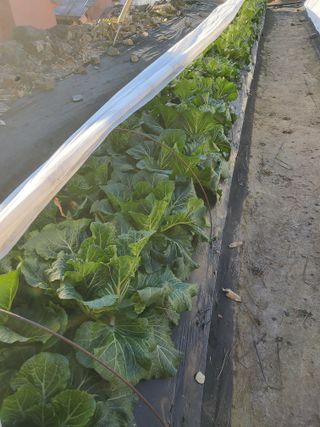 김윤철님의 자유주제 · 자유게시판 작성글 사진