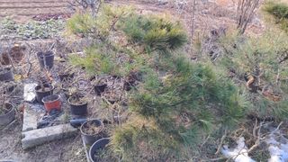 이정운님의 자유주제 · 자유게시판 작성글 사진