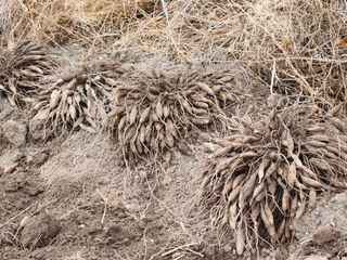 이창신님의 자유주제 · 자유게시판 작성글 사진