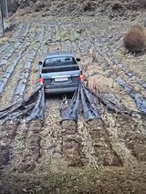 팜모닝 자유주제·자유게시판 게시글 이미지