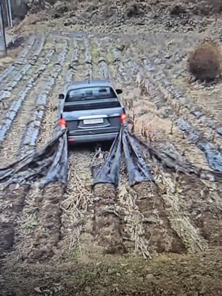 가인 5362님의 자유주제 · 자유게시판 작성글 사진