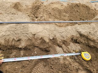 임한혁님의 자유주제 · 자유게시판 작성글 사진