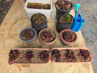 자연인님의 자유주제 · 자유게시판 작성글 사진