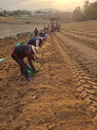 모두팜님의 작성글 사진