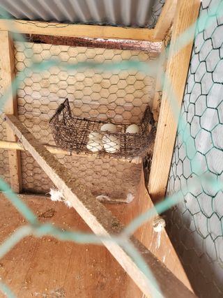 김윤철님의 자유주제 · 자유게시판 작성글 사진