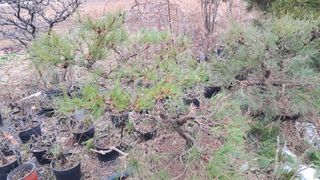 이정운님의 자유주제 · 자유게시판 작성글 사진