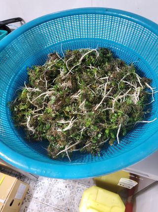 김윤철님의 자유주제 · 자유게시판 작성글 사진