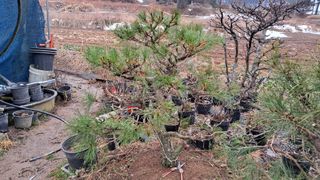 이정운님의 자유주제 · 자유게시판 작성글 사진