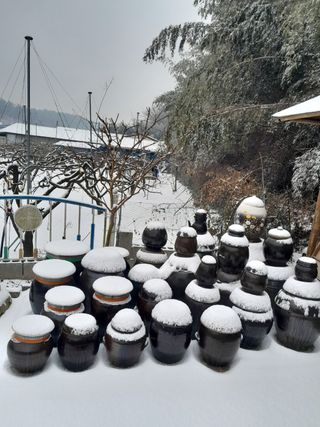 김상진님의 자유주제 · 자유게시판 작성글 사진