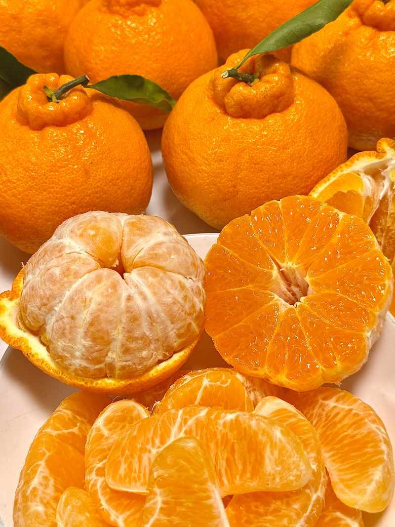 장터 상품 [[재주문 200%] 과즙 풍부한 달콤한 맛 한라봉 ] 썸네일