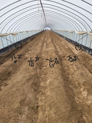 임한혁님의 자유주제 · 자유게시판 작성글 사진