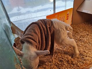 엄순모사선대농장님의 자유주제 · 자유게시판 작성글 사진