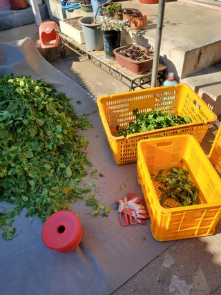 김윤철님의 자유주제 · 자유게시판 작성글 사진