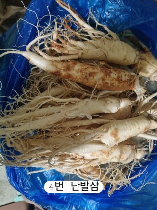 모두팜님의 작성글 사진