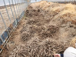 이창신님의 자유주제 · 자유게시판 작성글 사진