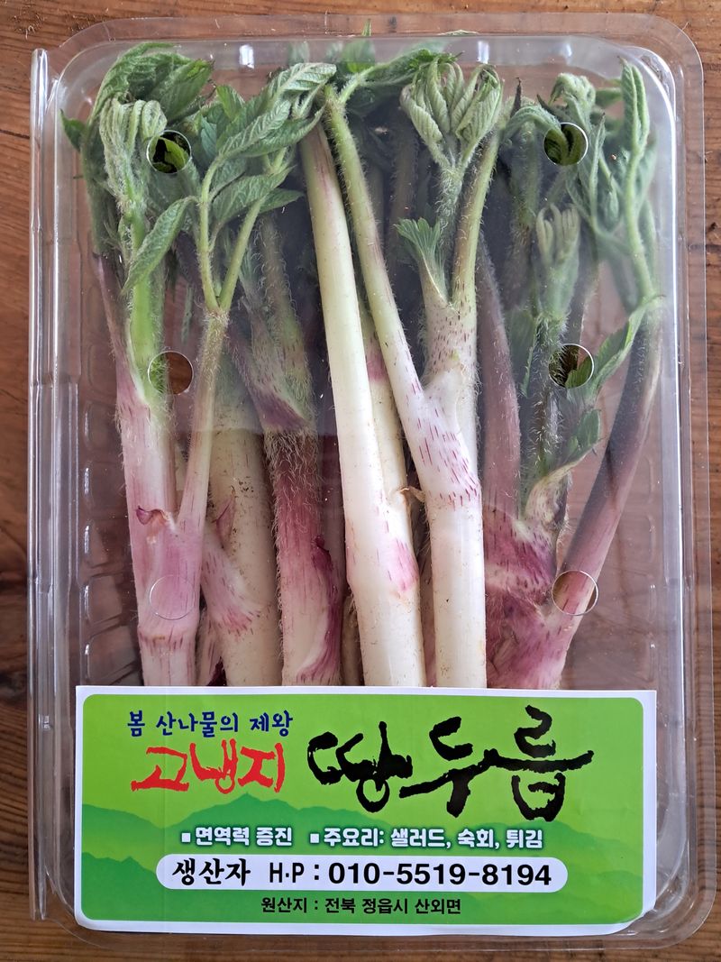 강나현님의 장터 판매 상품 [산외고랭지땅두릅500g] 첨부 사진