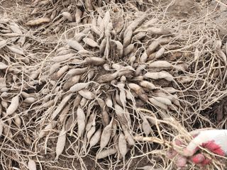 이창신님의 자유주제 · 자유게시판 작성글 사진