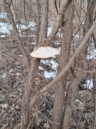 류남열님의 자유주제 · 자유게시판 작성글 사진