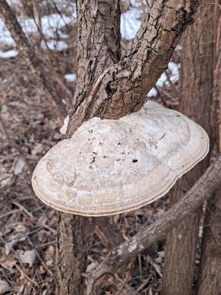 류남열님의 자유주제 · 자유게시판 작성글 사진