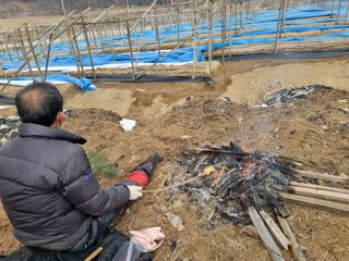 모두팜님의 자유주제 · 사진전 작성글 사진