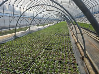 박수열님의 자유주제 · 자유게시판 작성글 사진