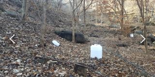 권혜전님의 자유주제 · 자유게시판 작성글 사진