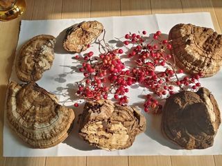 이현상님의 자유주제 · 자유게시판 작성글 사진