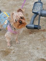 팜모닝 자유주제·자유게시판 게시글 이미지