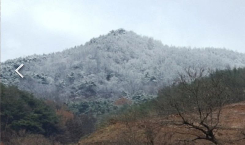 권혜전님의 장터 판매 상품 [1.5ml 6병 한박스] 첨부 사진