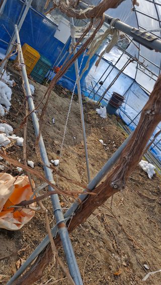 정석구님의 자유주제 · 자유게시판 작성글 사진