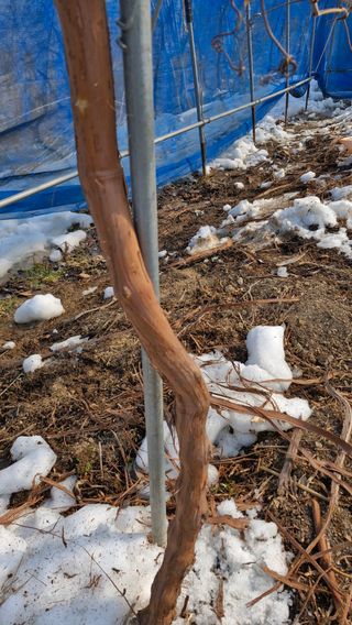 정석구님의 자유주제 · 자유게시판 작성글 사진