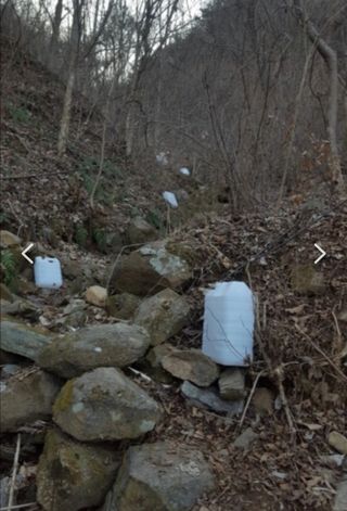 권혜전님의 작성글 사진