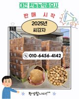 한농농약종묘사님의 감자·자유게시판 작성글 사진