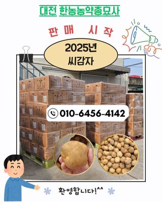 한농농약종묘사님의 감자 · 자유게시판 작성글 사진