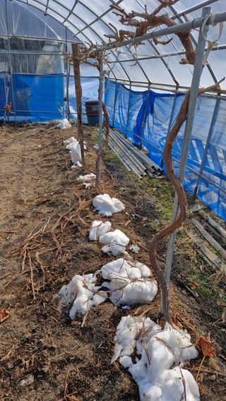 정석구님의 자유주제 · 자유게시판 작성글 사진