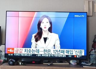 알 수 없음님의 자유주제 · 자유게시판 작성글 사진