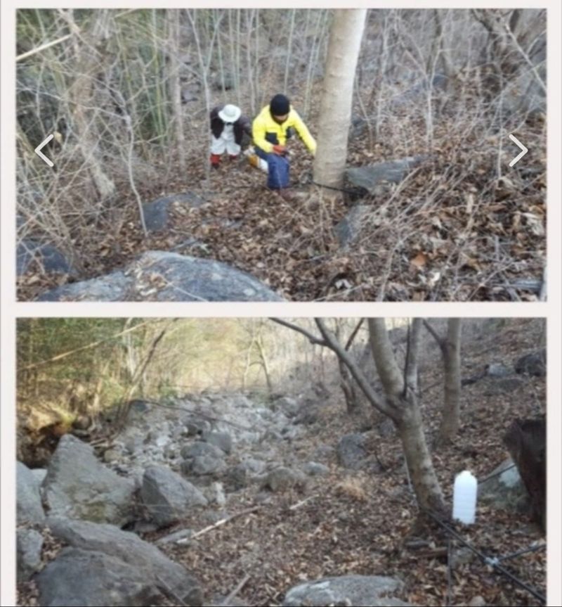 권혜전님의 장터 판매 상품 [1.5ml 6병 한박스] 첨부 사진