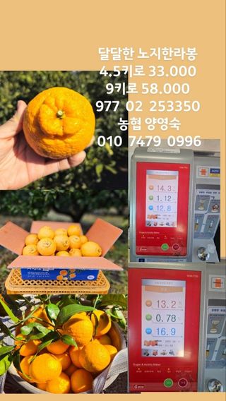 새달귤농장님의 작성글 사진