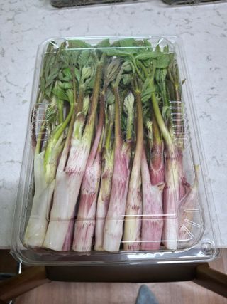 변귀재님의 자유주제 · 자유게시판 작성글 사진