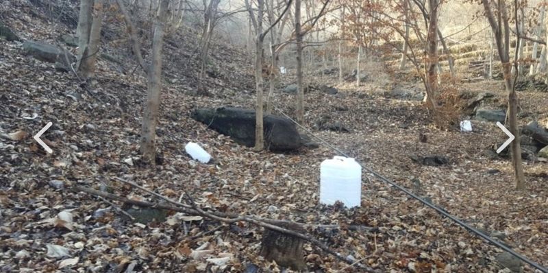 권혜전님의 장터 판매 상품 [1.5ml 6병 한박스] 첨부 사진