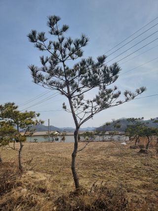 김현우님의 자유주제 · 자유게시판 작성글 사진