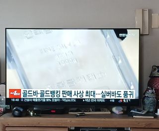 알 수 없음님의 자유주제 · 자유게시판 작성글 사진