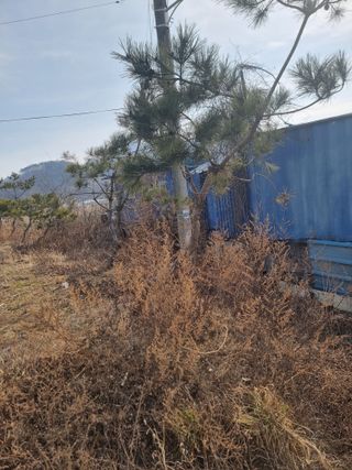 김현우님의 자유주제 · 자유게시판 작성글 사진