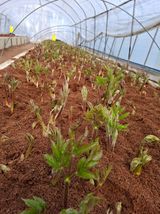 팜모닝 자유주제·자유게시판 게시글 이미지