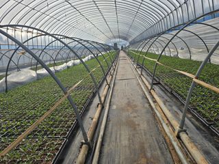 박수열님의 자유주제 · 자유게시판 작성글 사진